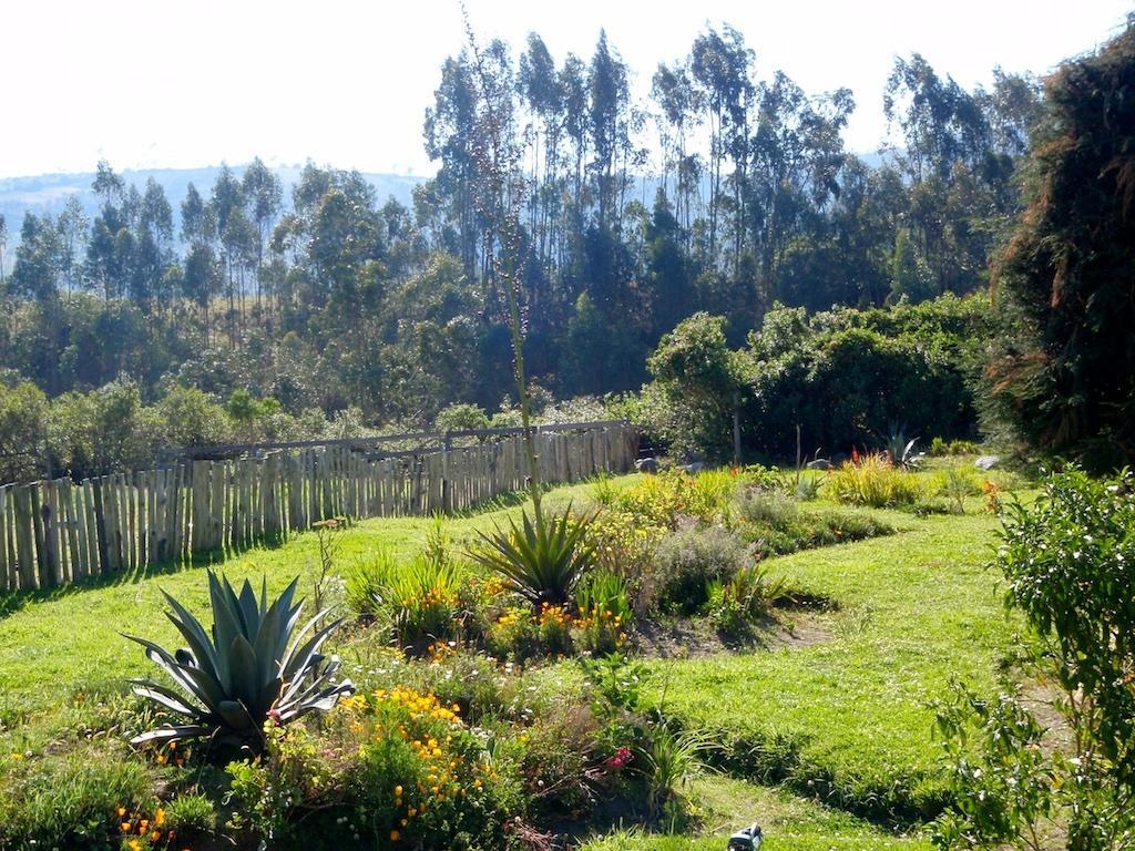 Hosteria Hotel Cuello De Luna - Cotopaxi - Country Inn Lasso Exteriör bild